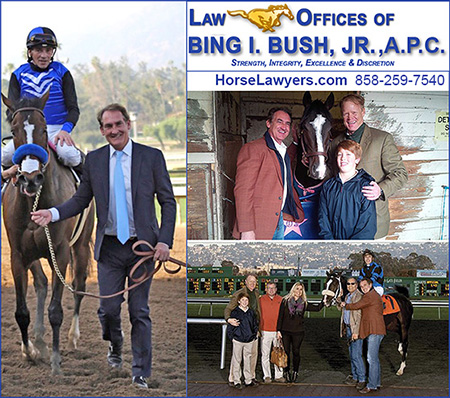 Law Offices of Bing I. Bush, Jr., A Professional Corporation.