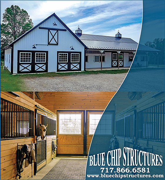 Blue Chip Structures, Inc. — Barns (has been supplying pre-engineered building packages to the Mid-Atlantic)