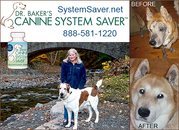 Dr. Baker's Canine System Saver — Dogs And Puppies (Baker's Canine System Saver was developed by a veterinarian to address some of…)