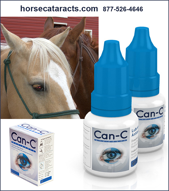 Can-C™ Eye Drops for Horses
