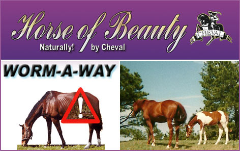 Cheval International