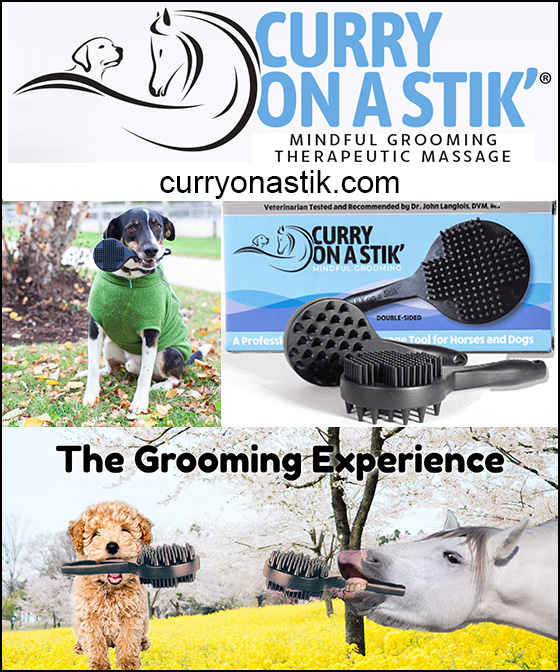 Curry on a Stik — Dogs And Puppies (Designed to make bathing, grooming and massage much easier and enjoyable for…)