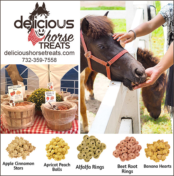 Delicious Horse Treats — Services (are the NATURAL and HEALTHY way to treat your horse)