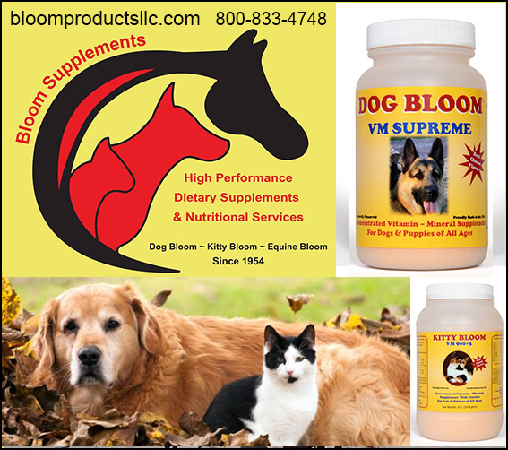 Dog Bloom Supplements by Bloom Products LLC. — Dogs And Puppies (Dog Bloom Supplements by Bloom Products LLC is simply the best kept secret of…)