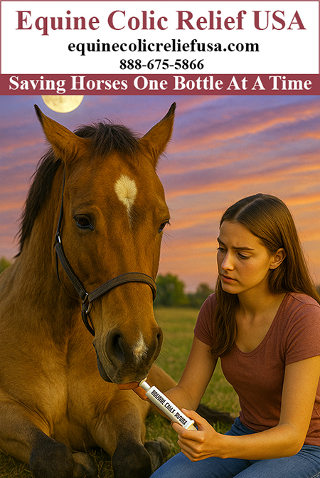 Equine Colic Relief