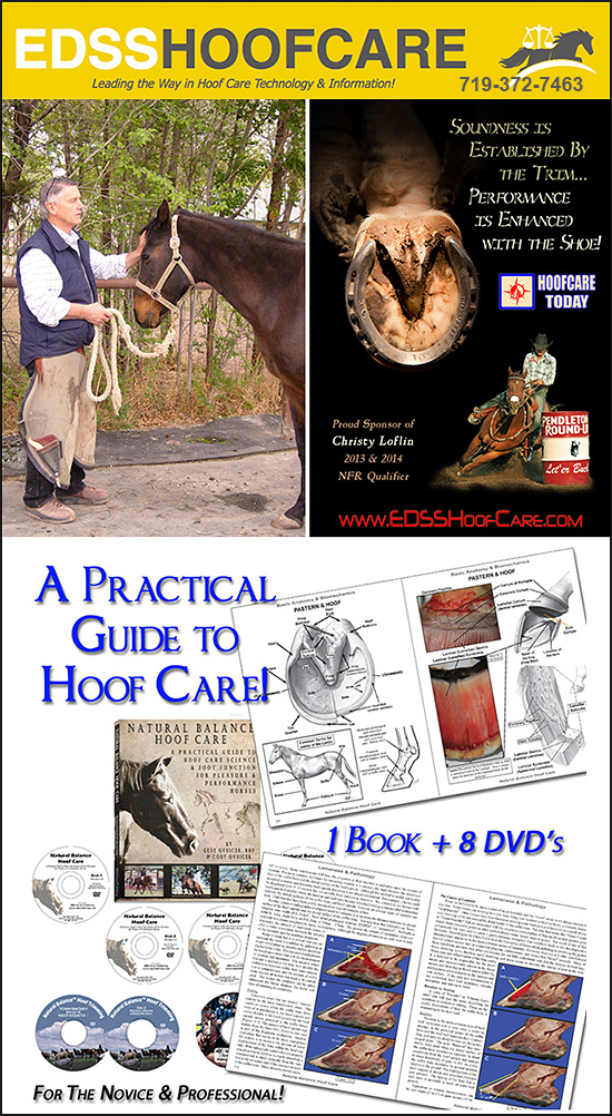 Equine Digit Support System — Health (and comprehensive instruction material has proven to be one of the most)