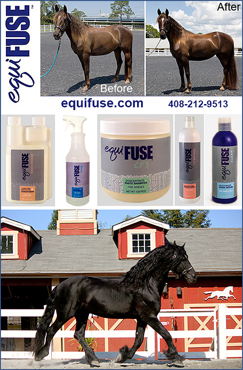 EquiFUSE — Health (® is an equine skin care line developing high performance shampoos,…)