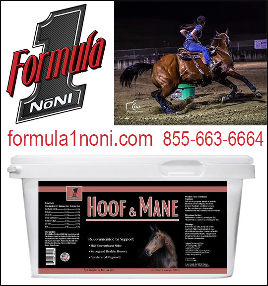HOOF and MANE by Formula 1 Noni