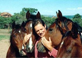 7 Step Safety System — Trainers (Frank Bell has taken the mystery out of the natural horsemanship movement that…)