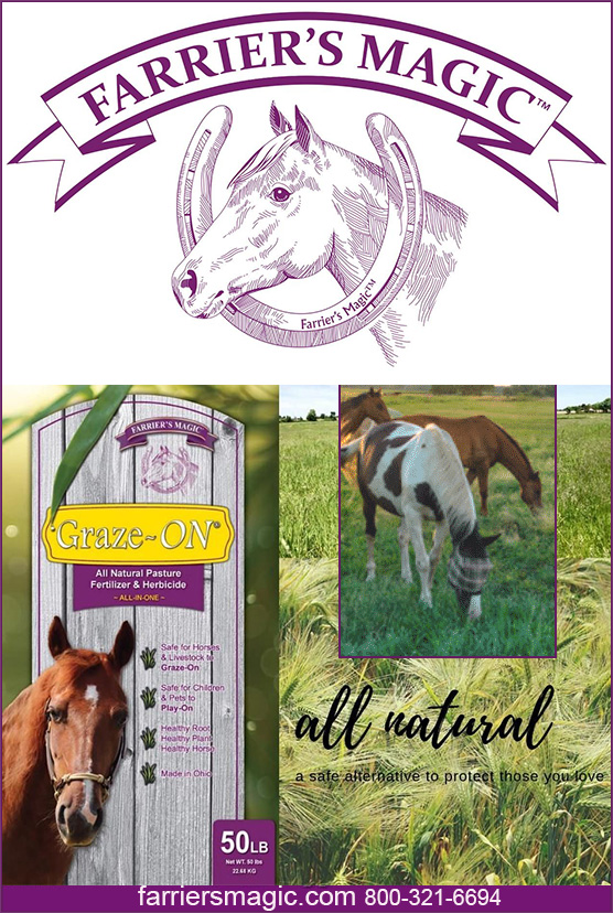 Graze-ON™ by Farrier's Magic — Pasture Care (Our premium supplement line includes Farrier’s Magic Plus Hoof, Flex-in-Action…)