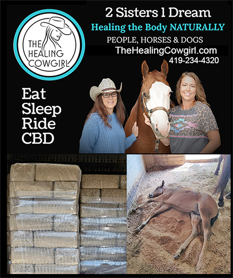 The Healing Cowgirl