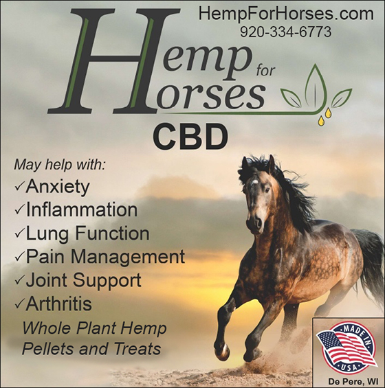 Hemp For Horses — Health (is an EQUINE BASED company that SPECIALIZES in the BEST formulation for Horses)