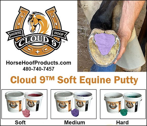 Cloud 9™ Soft Equine Putty — Health (is a cutting-edge for supporting or discouraging common hoof problems)