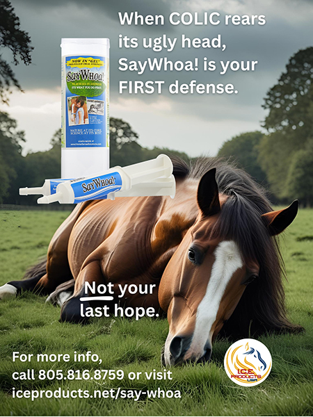 SAY WHOA--by I.C.E. Products