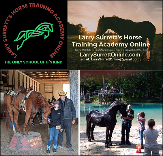 Larry Surrett Online Horse Training Academy — Barn Accessories (Larry Surrett's FAMOUS Horse Training School attended by thousands of horse…)