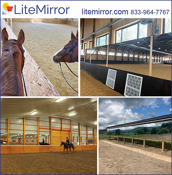 LiteMirror — Barn Accessories (is BRIGHTER than Glass— SAFER than Glass— more AFFORDABLE than Glass)