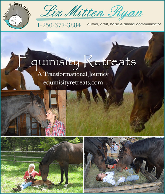 Equinisity Equine Retreats