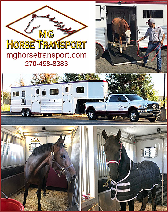 MG Horse Transport MG Horse Transport has the experience, and the absolute