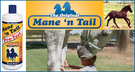 Protect Your Horse's Skin And Coat — Tack (Pro-Tect Anti Microbial Shampoo is a gentle, deep penetrating, therapeutic…)