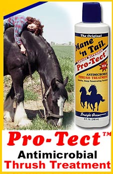 Pro-Tect™ Antimicrobial Thrush Treatment — Health (beyond everyday hoof care)