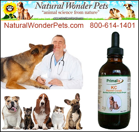Primalix® KC For Kennel Cough — Dogs And Puppies (Primalix KC for Kennel Cough is an inspired formulation of USDA Certified…)