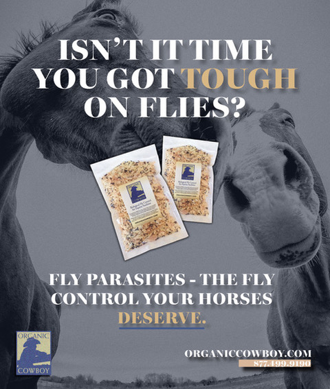 The Organic Cowboy™ — Health (Our Natural Fly parasites are a time-honored tool in the battle against pest…)
