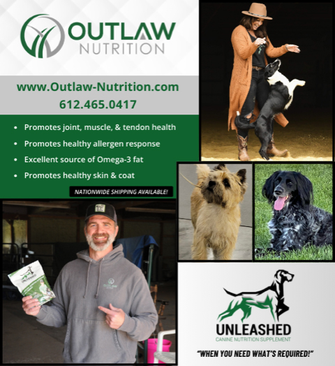 OutlawNDAd