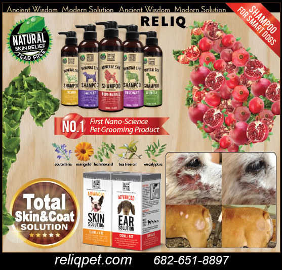 RELIQ