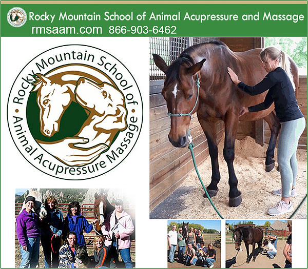 Rocky Mountain School of Animal Acupressure Massage