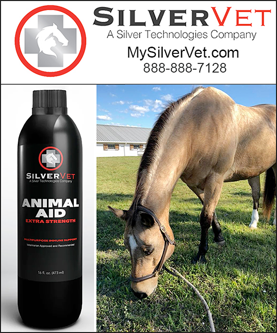 SilverAnimalAidAd
