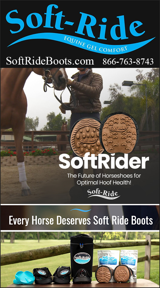 The SoftRider Next Generation Horse Shoe