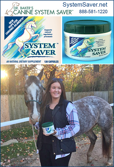 System Saver™ Equine