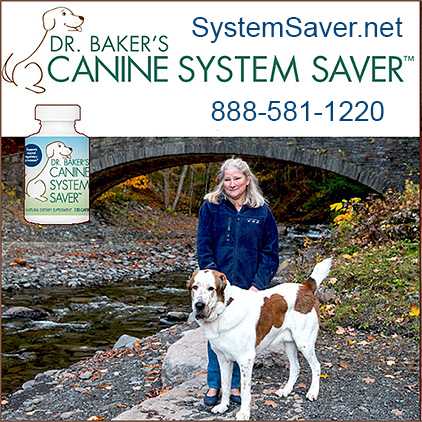 Dr. Baker's Canine System Saver