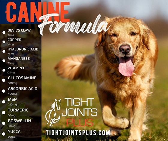 Tight Joints Plus For Dogs — Dogs And Puppies (Tight Joints PLUS's combination of ingredients were put together for maximum…)