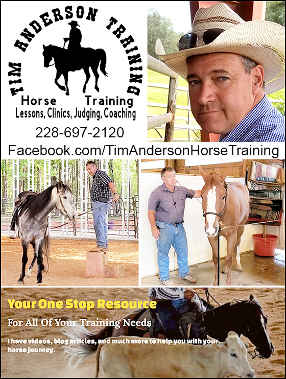 Tim Anderson— Over 25 Years of Training Excellence! — Equine Schools (With over 20 years of training Police horses, Reiners, Performance horses, and…)