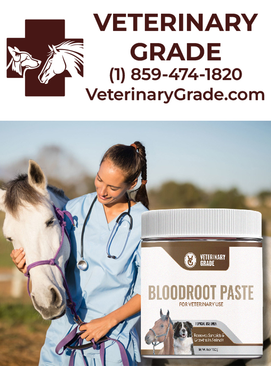 Bloodroot Paste — Health (Our herbal BLOODROOT paste, by Veterinary Grade is a FAST acting solution…)