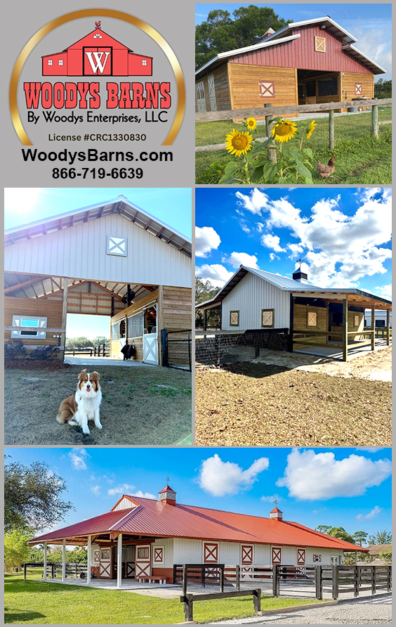 Woodys Barns are custom built on property by our dedicated crew. — Barns (Woodys Barns are custom built on property by our dedicated crew)