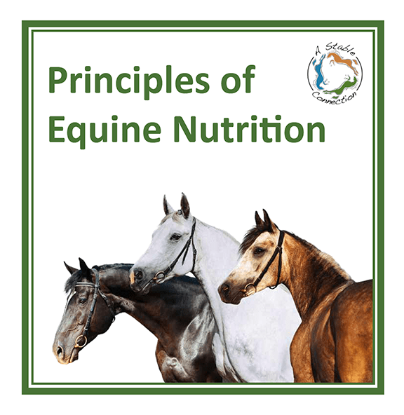 Principles of Equine Nutrition full-color 80-plus page reference manual cover from A Stable Connection