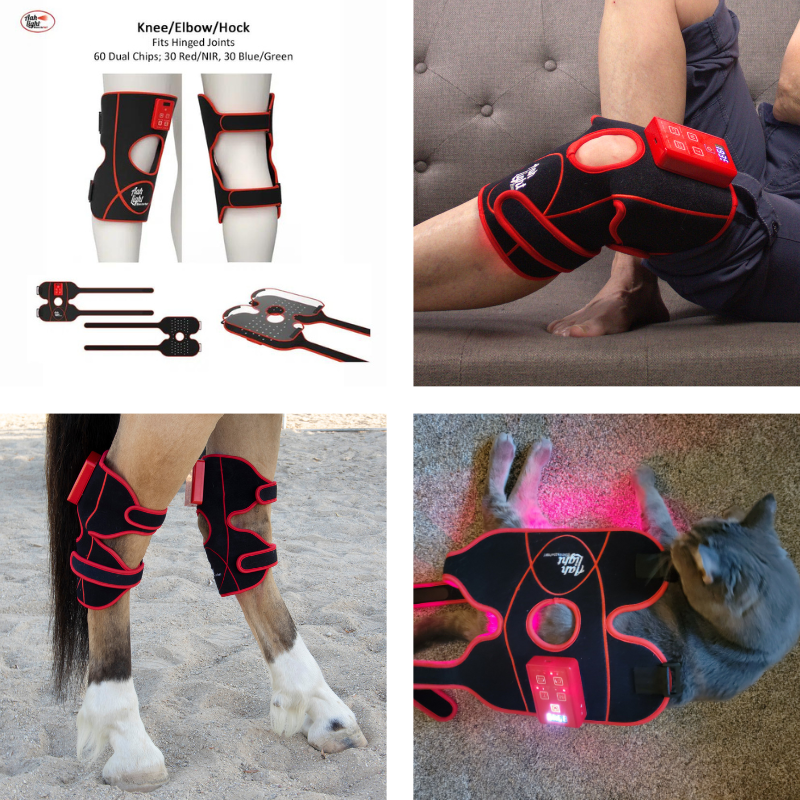 AAH Light flexible LED therapy pads strapped around equine legs and laid out with their straps and accessories