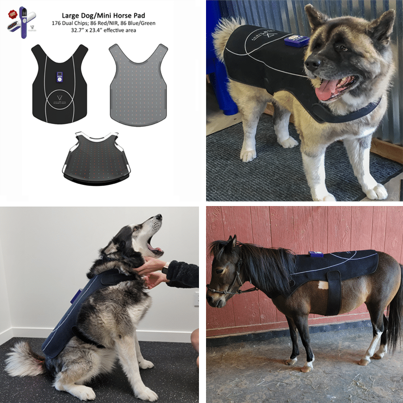 AAH Light large dog and mini horse light therapy flex pad