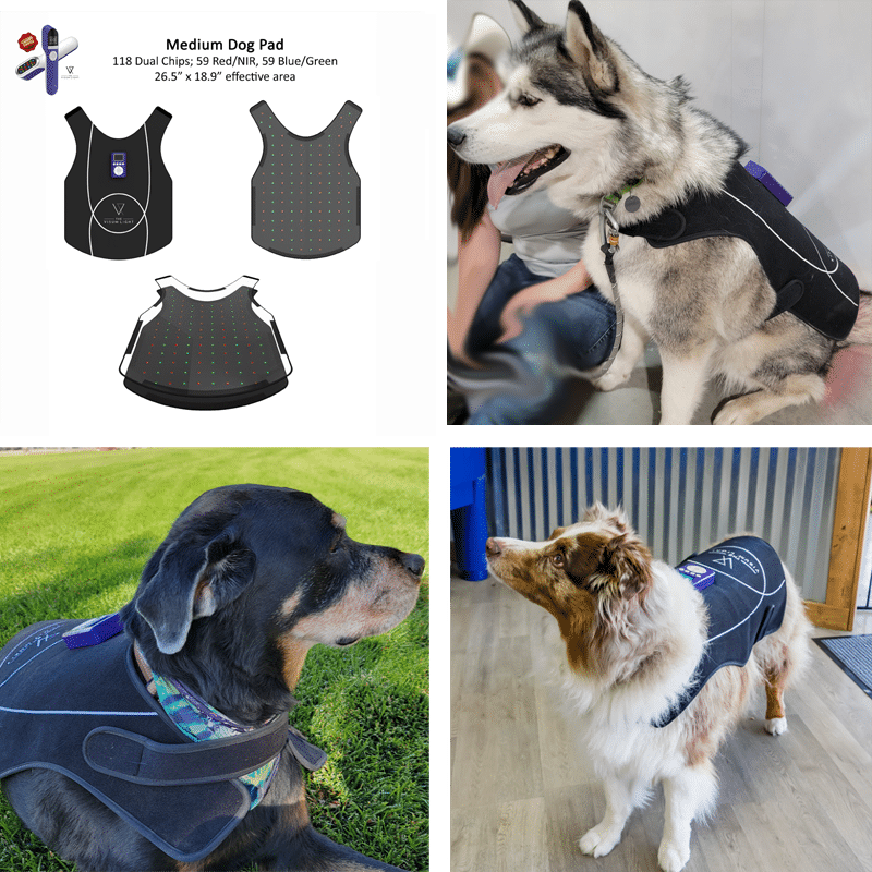 AAH Light medium-large dog light therapy flex pad