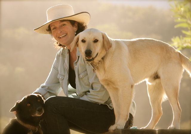 Kathy Pike facilitating equine facilitated learning with horses