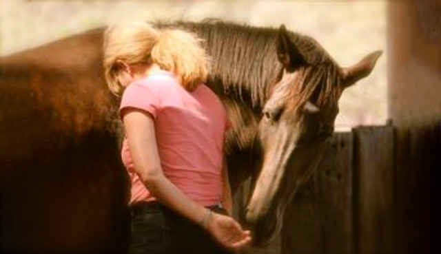 Equine Facilitated Learning and Coaching online training program
