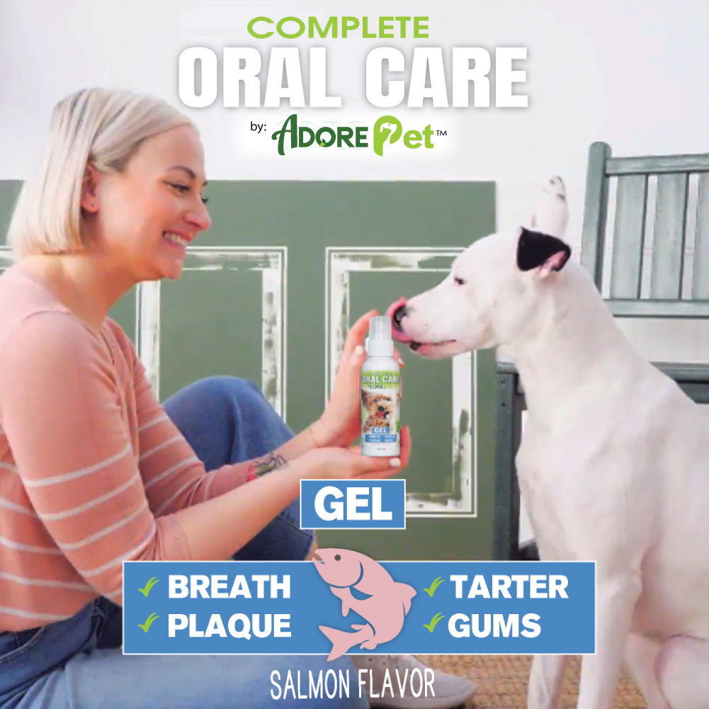 Pet owner applying Adore Pet salmon-flavor oral care gel to a happy white dog at home