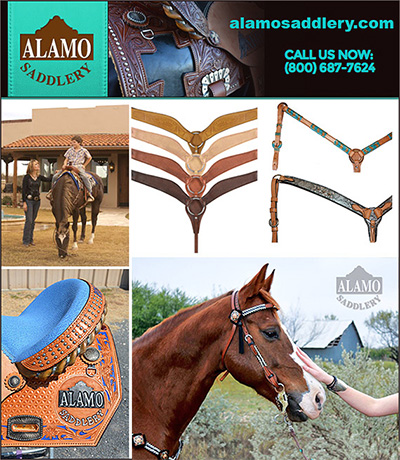 Bridles and Breast Collars by Alamo Saddlery