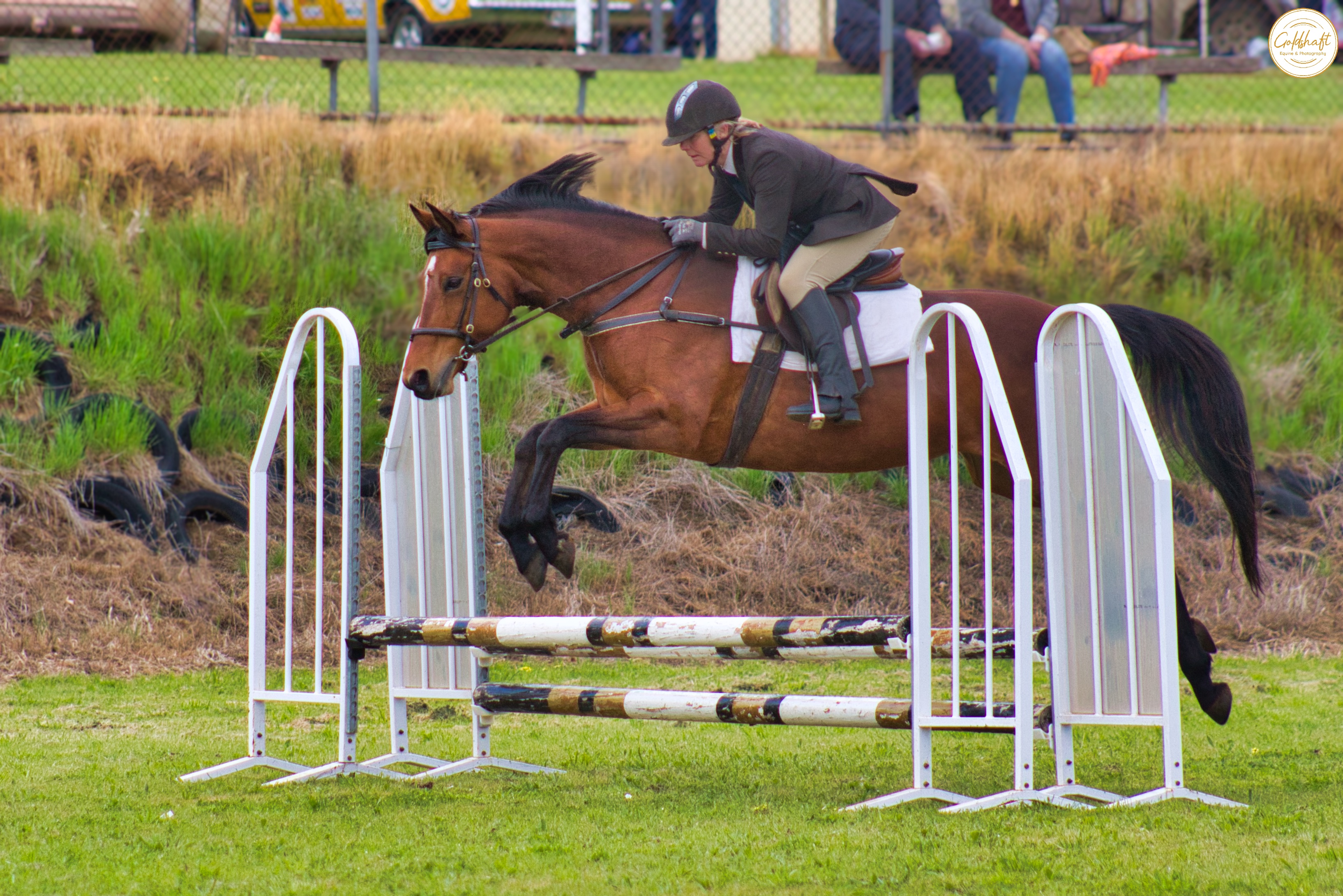 Applied Posture Riding rider jumping a bay horse over a rail fence with a secure, centered seat
