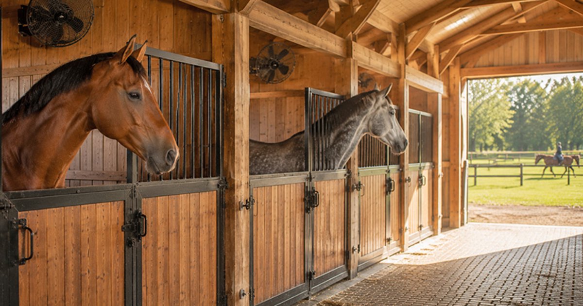 Best Fans for Horse Barns & Stalls: Safety, Ventilation, Fire Prevention & Buying Guide