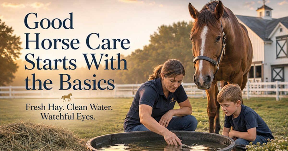 Clean Water Is One of the Most Important Parts of Horse Health