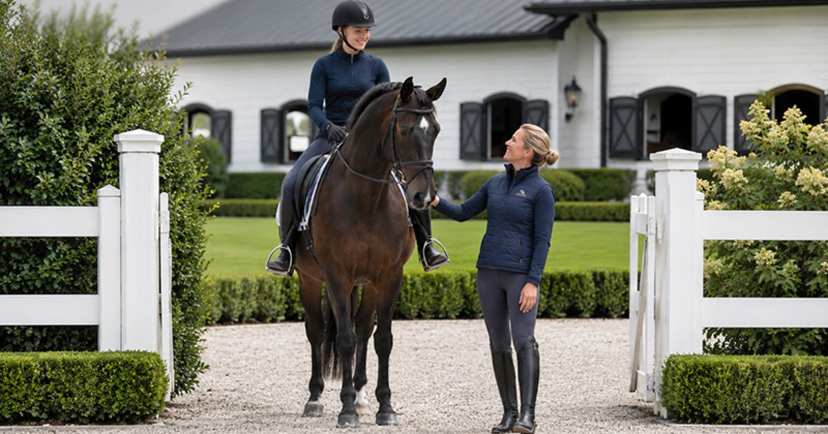 Dressage in Plain English: The Training Language Every Rider Should Understand Dressage Terminology in Plain English for Beginners and Lesson Parents