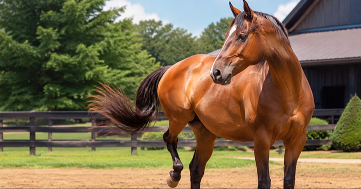 Fly Control for Horses: The Complete Guide to Sprays, Traps, Feed-Throughs, Fly Predators, Misting Systems, and More